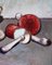 Piero Leo, Red Mushrooms, 1970s, Oil Painting, Framed 6
