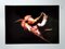 AH, Image de la nature, 1990, Impression photo 2