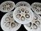 Vintage French Oyster Plates Set by St Amand Pottery, 1950s, Set of 6 9
