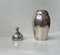 Claw Globe Sugar Caster in Sterling Silver by Frantz Hingelberg, 1920s 5