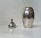 Claw Globe Sugar Caster in Sterling Silver by Frantz Hingelberg, 1920s 2