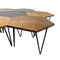 Tavolini da caffè esagonali a nido d'ape di Gio Ponti per Isa Bergamo, anni '50, set di 7, Immagine 5
