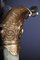 19th Century French Onyx Pomp Jug/Vase Bronze Silvered Napoleon Iii 10