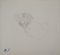 Marie Laurencin, Sleeping Cat, Original Pencil Drawing, Image 1