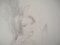 Marie Laurencin, Girl with a Bow, Original Pencil Drawing 3