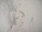 Marie Laurencin, Girl with a Bow, Original Pencil Drawing, Image 3