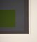 After Josef Albers, Homage to the Square, 1973, Screenprint 9