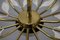 Lampada da soffitto floreale attribuita a United Workshops, Germania, Monaco di Baviera, anni '50, Immagine 6