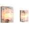 Vintage Wall Sconces in Murano Glass by Egon Hillebrand for Hillebrand Lighting, Germany 1960s, Set of 2 1