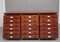Vintage Multi-Drawer Chests in Mahogany, 1920, Set of 2 5