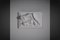 Rilievo da parete in gesso di Carlo Zauli, Italia, anni '60, Immagine 1