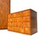 Chest of Drawers in Pecary Leather by Tito Agnoli for Poltrona Frau, 1980s 2