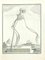 Jean Charles Baquoy, Skelett eines Affen, Radierung von Jean Charles Baquoy, 1771, 1800, Radierung 1