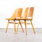 Honey Beech Dining Chairs by Radomir Hoffman for Ton, 1950s, Set of 2 3