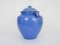 Vaso di conservazione del XIX secolo a Vernisse Blue, Francia sud-occidentale, Immagine 2