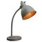 French Industrial Gray Metal Desk Lamp 2