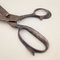 Antique Scissor in Iron, 1930 3