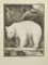 Pierre Charles Baquoy, L'Ours Blanc, Acquaforte, 1771, Immagine 1