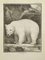 Pierre Charles Baquoy, L'Ours Blanc, Eau-forte, 1771 1