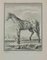 Pierre Charles Baquoy, Un cavallo, Acquaforte, 1771, Immagine 1
