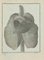 Louis Legrand, Animals' Respiratory System, Etching, 1771 1
