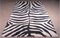 Rectangular Zebra Rug from Aland 1