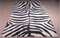Rectangular Zebra Rug from Aland, Image 1