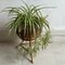 Vintage Bamboo Plant Stand 8