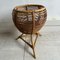 Vintage Bamboo Plant Stand 7