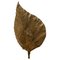 Large Rhubarb Leaf Brass Wall Light attributed to Tommaso Barbi, 1970s 1