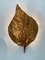 Large Rhubarb Leaf Brass Wall Light attributed to Tommaso Barbi, 1970s 10