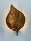 Large Rhubarb Leaf Brass Wall Light attributed to Tommaso Barbi, 1970s 8