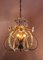 Lámpara de araña de cristal de latón dorado atribuida a Palwa, años 60, Imagen 6