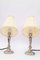 Art Deco Nickel-Plated Table Lamps with Fabric Shades, Vienna, 1920s, Set of 2 6