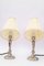 Art Deco Nickel-Plated Table Lamps with Fabric Shades, Vienna, 1920s, Set of 2, Image 6