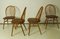Chaises de Salle à Manger par Lucian Ercolani, 1960s, Set de 4 7