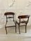 Regency Carved Mahogany Dining Chairs, 1830s, Set of 10 5