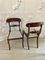 Regency Carved Mahogany Dining Chairs, 1830s, Set of 10, Image 5