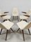 Mid-Century Dutch Dining Chairs J. van Os Culemborg, 1950s, Set of 5 5