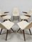 Mid-Century Dutch Dining Chairs J. van Os Culemborg, 1950s, Set of 5, Image 5