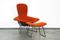 Bird Lounge Chair & Ottoman by Harry Bertoia for Knoll International, 1970s, Image 1