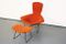 Bird Lounge Chair & Ottoman by Harry Bertoia for Knoll International, 1970s, Image 2