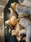 XVIII Rilievo da parete in legno intagliato, Italia, Immagine 3