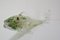 Vintage Glass Fish from Glasswork Novy Bor, 1970s 3
