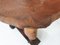 Poltrone Saddle in pelle, Brasile, anni '60, set di 2, Immagine 13