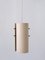 Lampade a sospensione Mid-Century moderne, Germania, anni '60, set di 2, Immagine 45