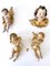 Putti/Cherubini in legno policromo intagliato a mano, Germania, anni '60, set di 4, Immagine 20