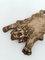 Mythologischer Nemean Lion Aschenbecher aus Messing, Italien, 1970er 5