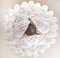 Italian Murano Glass Petals Chandelier, 1970s, Image 13