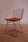 Chrome-Plated Side Chair by Harry Bertoia for Knoll, 2000s 4